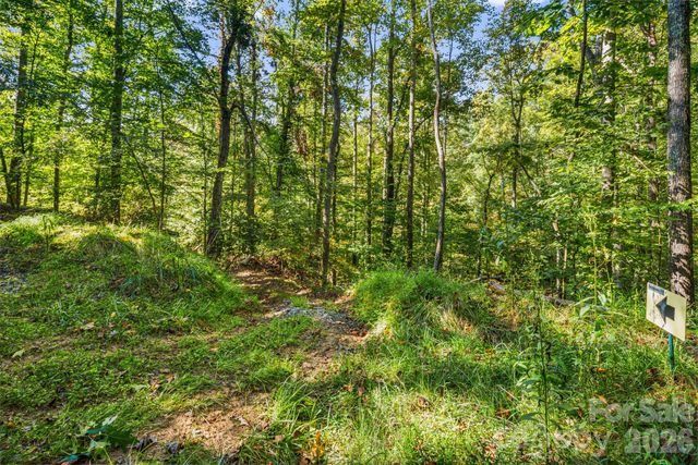 456 Maney Branch Road, Burnsville, NC 28714
