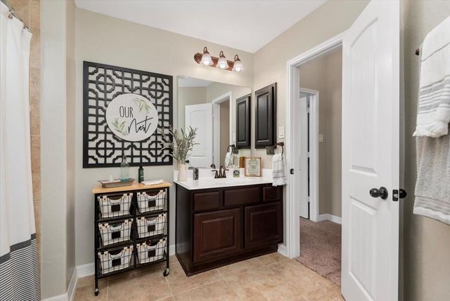 16311 Chandler Point Drive, Hockley, TX 77447