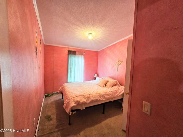 3425 Blueberry Road, Currie, NC 28435