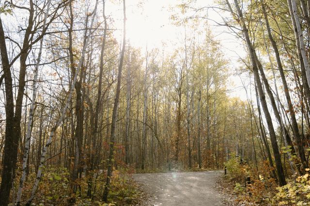 21574 State 200, Bagley, MN 56621