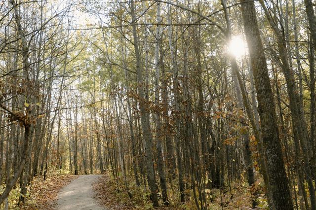 21574 State 200, Bagley, MN 56621