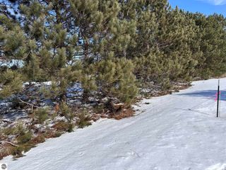 Honor Highway, Interlochen, MI 49643