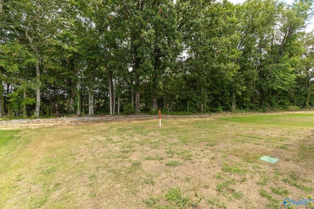 14764 Ravenel Drive, Harvest, AL 35749