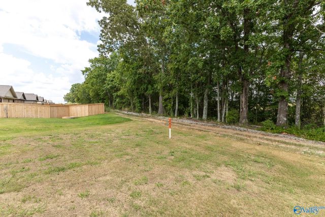 14764 Ravenel Drive, Harvest, AL 35749