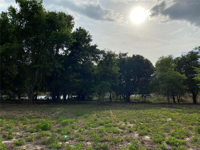 SOUTH O 'BRIEN ROAD, Groveland, FL 34736