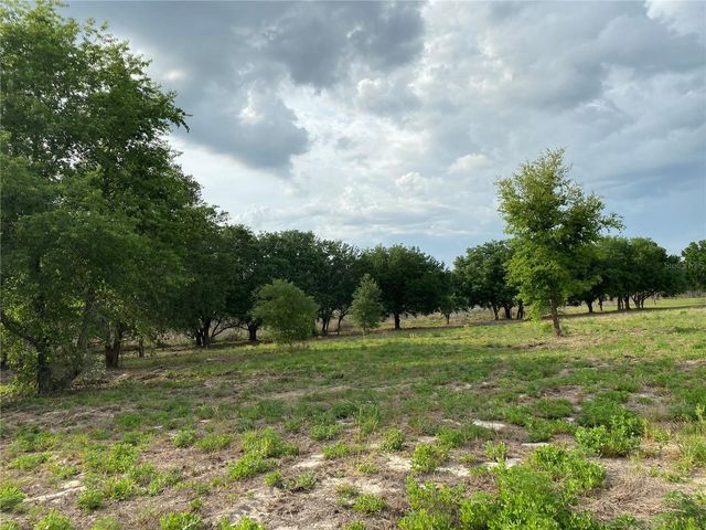 SOUTH O 'BRIEN ROAD, Groveland, FL 34736