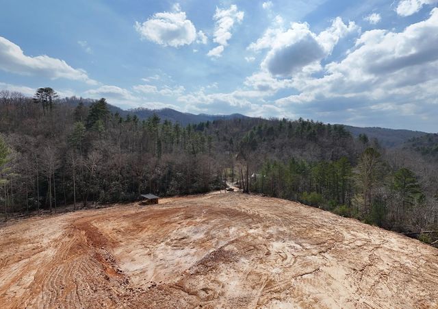 8.43 AC River Cove Lane, Hayesville, NC 28904