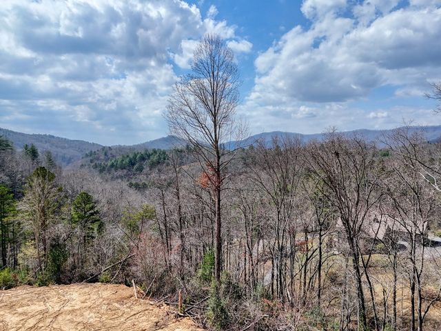 8.43 AC River Cove Lane, Hayesville, NC 28904