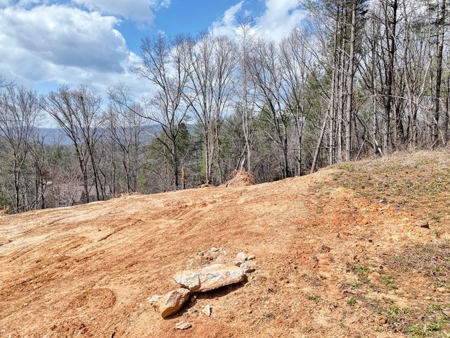 8.43 AC River Cove Lane, Hayesville, NC 28904