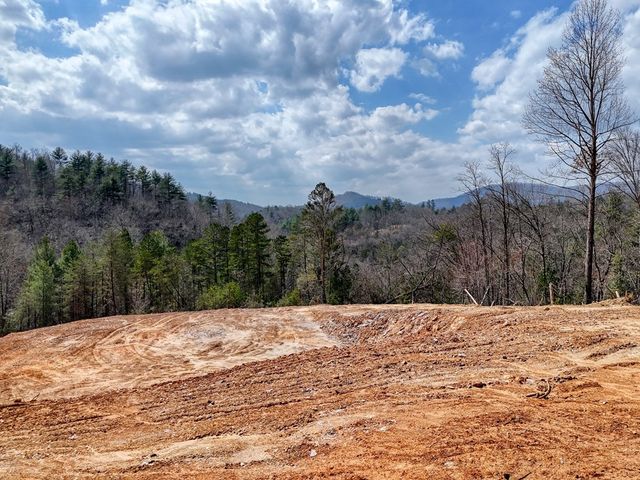 8.43 AC River Cove Lane, Hayesville, NC 28904
