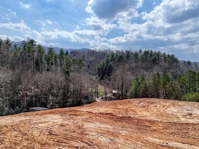 8.43 AC River Cove Lane, Hayesville, NC 28904