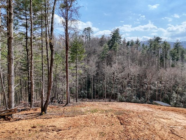 8.43 AC River Cove Lane, Hayesville, NC 28904