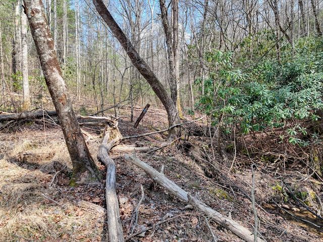 8.43 AC River Cove Lane, Hayesville, NC 28904