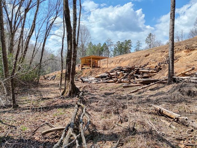 8.43 AC River Cove Lane, Hayesville, NC 28904