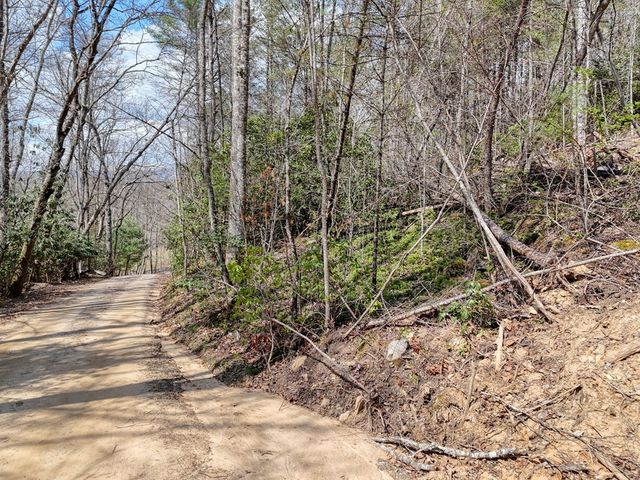 8.43 AC River Cove Lane, Hayesville, NC 28904