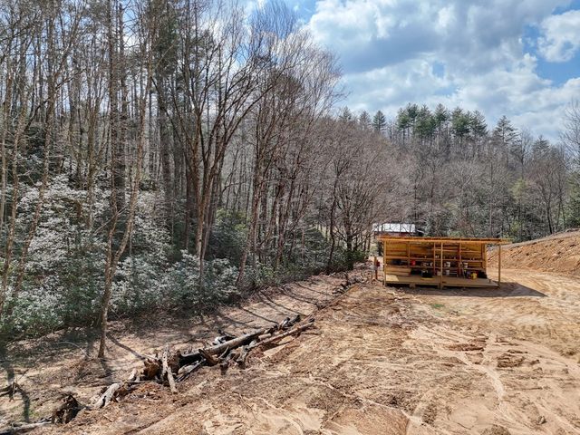 8.43 AC River Cove Lane, Hayesville, NC 28904