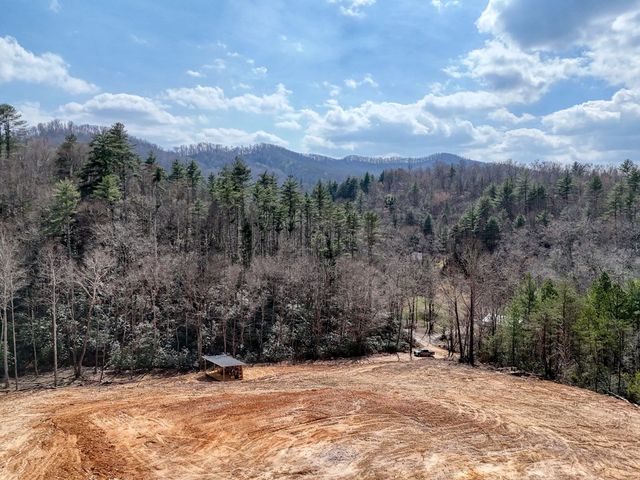 8.43 AC River Cove Lane, Hayesville, NC 28904