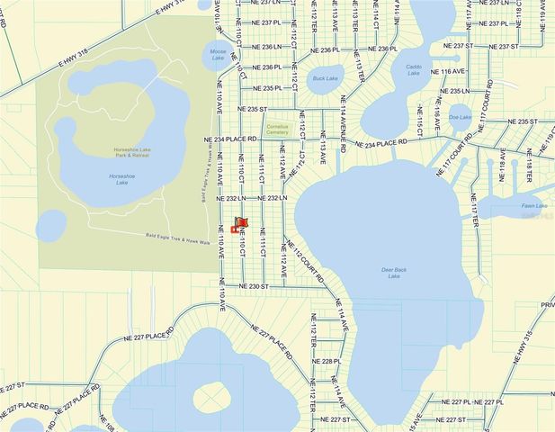 TBD NE 110TH COURT, Fort Mc Coy, FL 32134