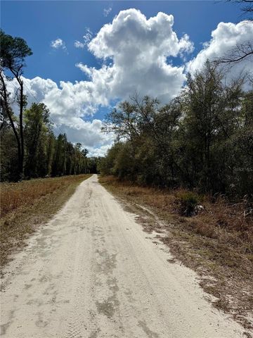 TBD NE 110TH COURT, Fort Mc Coy, FL 32134