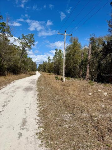 TBD NE 110TH COURT, Fort Mc Coy, FL 32134