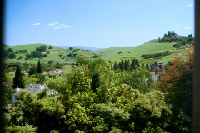 54 Antelope Court, Danville, CA 94506