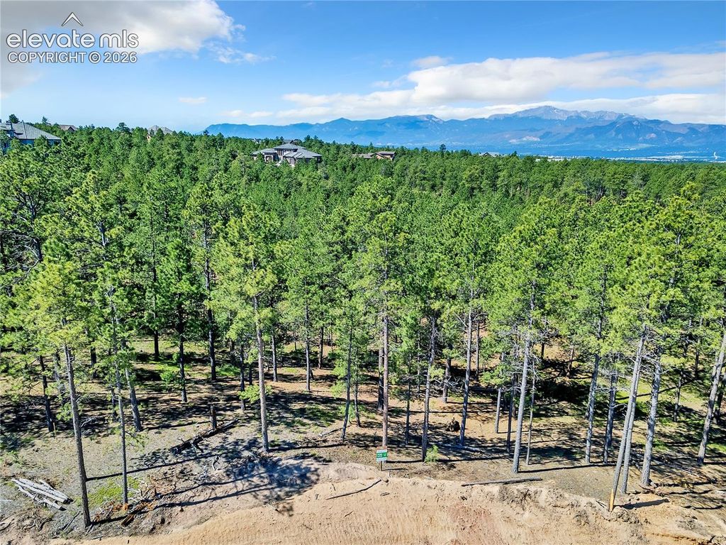 14251 Allen Ranch Road, Colorado Springs, CO 80908 — photo 2