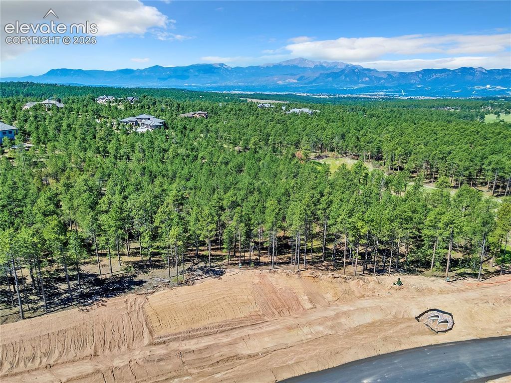 14251 Allen Ranch Road, Colorado Springs, CO 80908 — photo 3