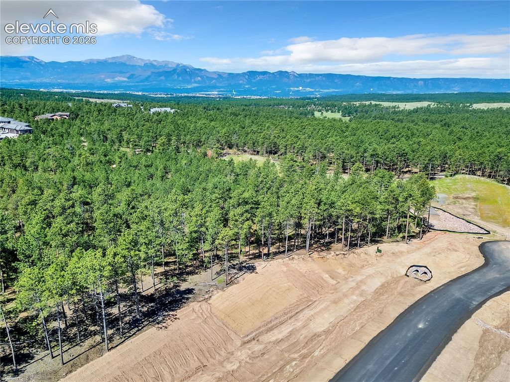 14251 Allen Ranch Road, Colorado Springs, CO 80908 — photo 4
