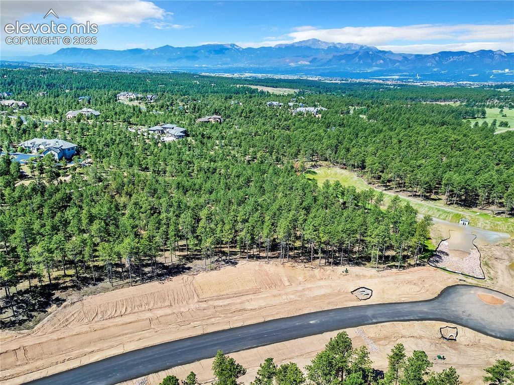 14251 Allen Ranch Road, Colorado Springs, CO 80908 — photo 5