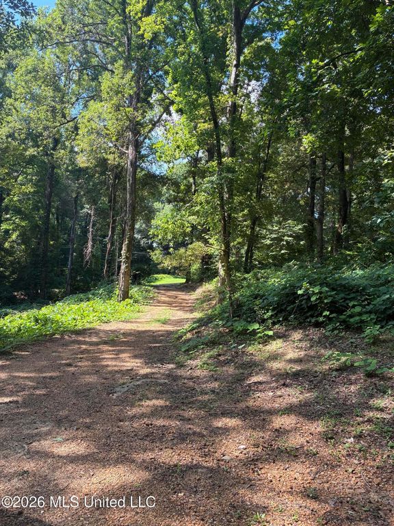 3696 Councils Ford Cove, Hernando, MS 38632 — photo 2