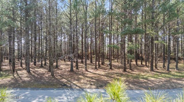 121 W Grandiflora Drive, Wallace, NC 28466