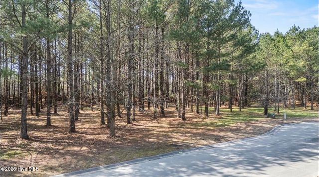 121 W Grandiflora Drive, Wallace, NC 28466