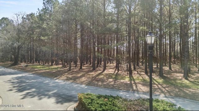121 W Grandiflora Drive, Wallace, NC 28466