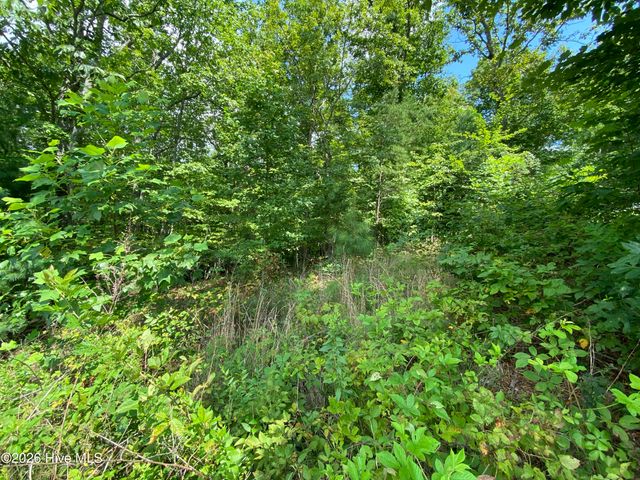 00 Noble Mountain Landing, Murphy, NC 28906