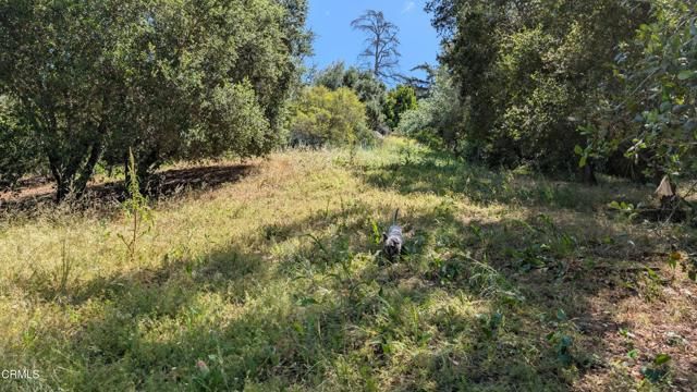 3530 N Knoll Drive, Los Angeles, CA 90068