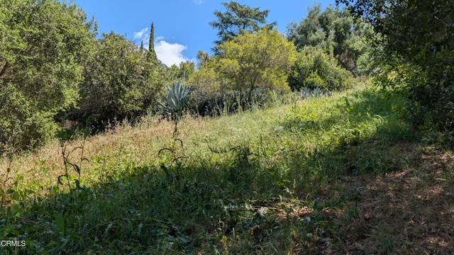 3530 N Knoll Drive, Los Angeles, CA 90068