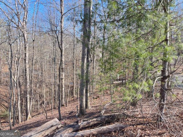 7703 Pine Circle, Murrayville, GA 30564