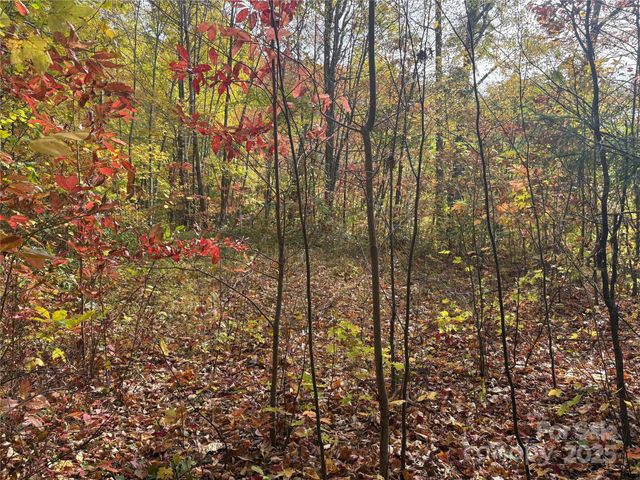 899 Hyacinth Drive, Clyde, NC 28721