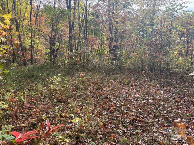 899 Hyacinth Drive, Clyde, NC 28721