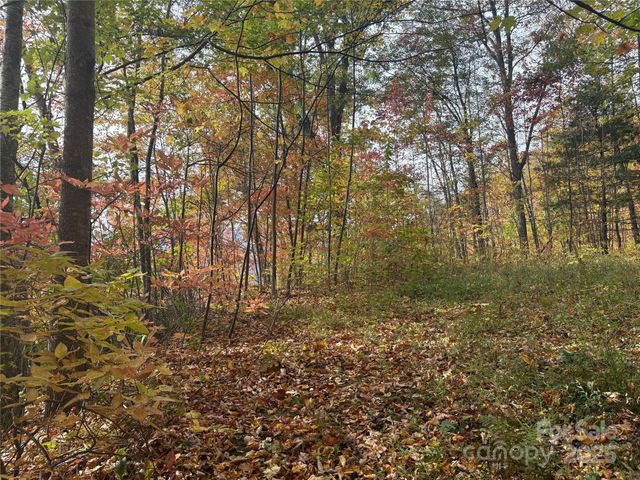 899 Hyacinth Drive, Clyde, NC 28721