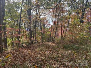 899 Hyacinth Drive, Clyde, NC 28721