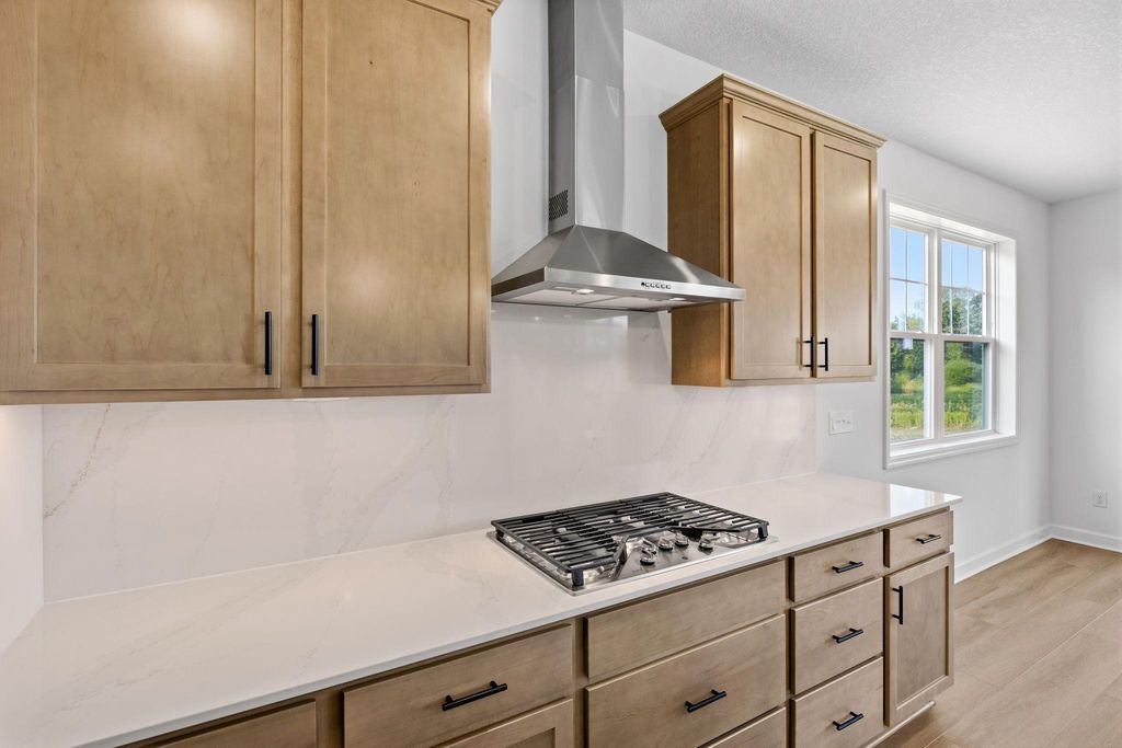 6817 Zenwood Lane, Corcoran, MN 55340 — photo 4