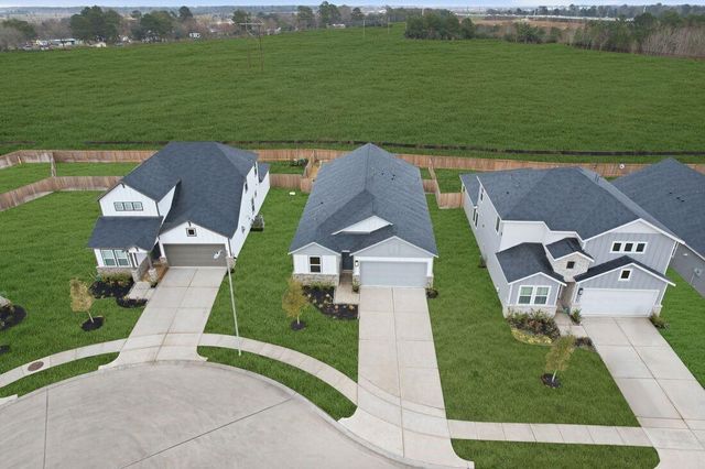 18122 Lone Hill Drive, Hockley, TX 77447