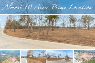 000 Highway 165 Critter Trail, Hollister, MO 65672