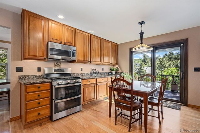1394 Black Pine Court, Castle Rock, CO 80104