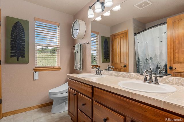 1394 Black Pine Court, Castle Rock, CO 80104