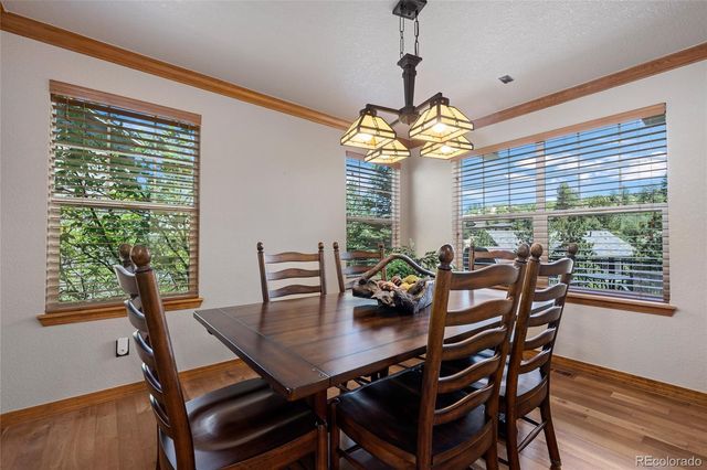 1394 Black Pine Court, Castle Rock, CO 80104