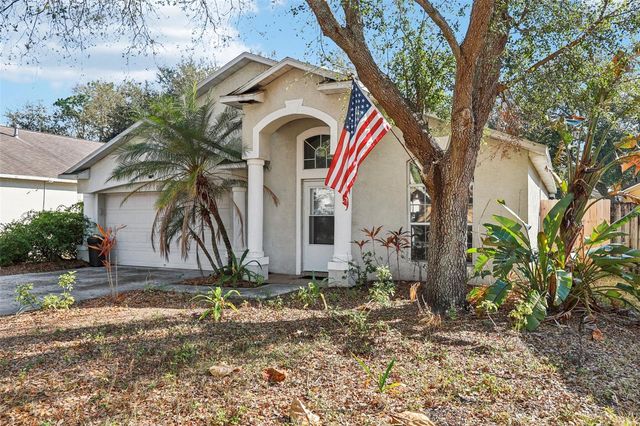 719 SOMERSTONE DRIVE, Valrico, FL 33594