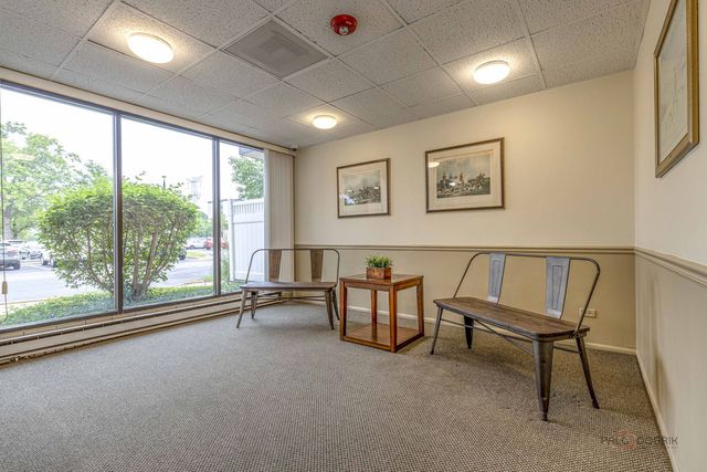9118 W Elmwood Drive 1K, Niles, IL 60714