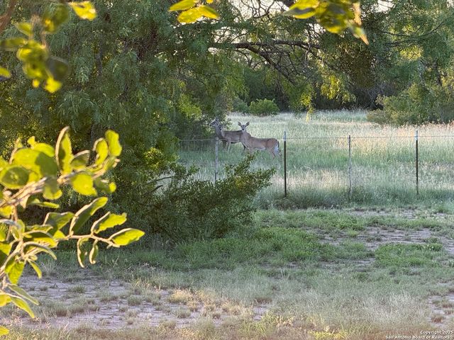 344 E CR 341, Knippa, TX 78801